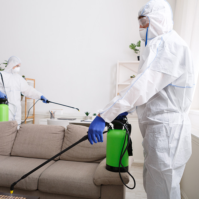 GoldSeal Service 4D (GSS 4D.jpg GoldSeal Service 4D (GSS 4D.jpg
