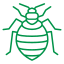 Bed bugs