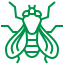 Flies