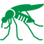 Mosquitoes