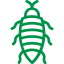 Cockroaches