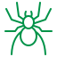 Spiders