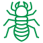 Termites